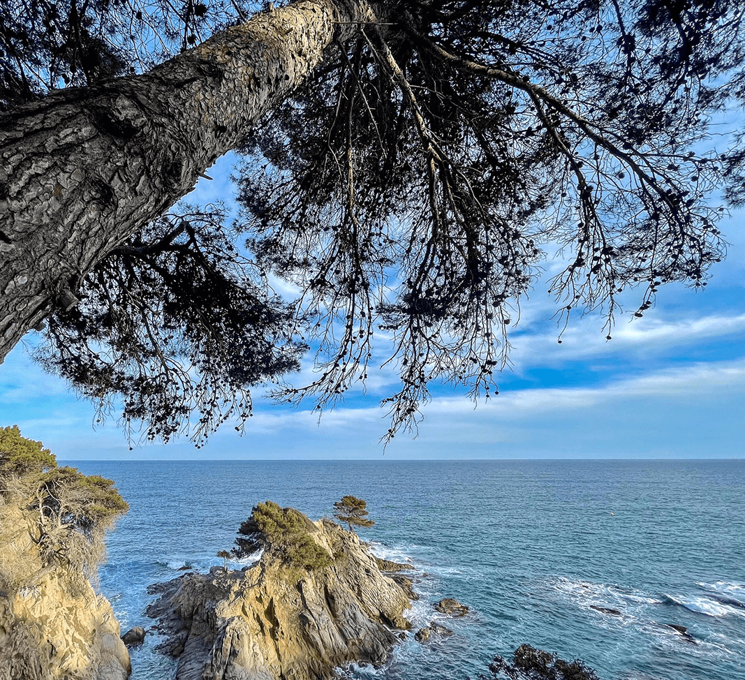 Masia-Aditi-Entornor-naturales