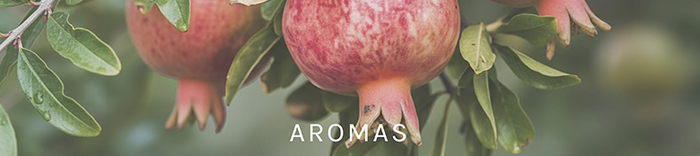 masia-aromas